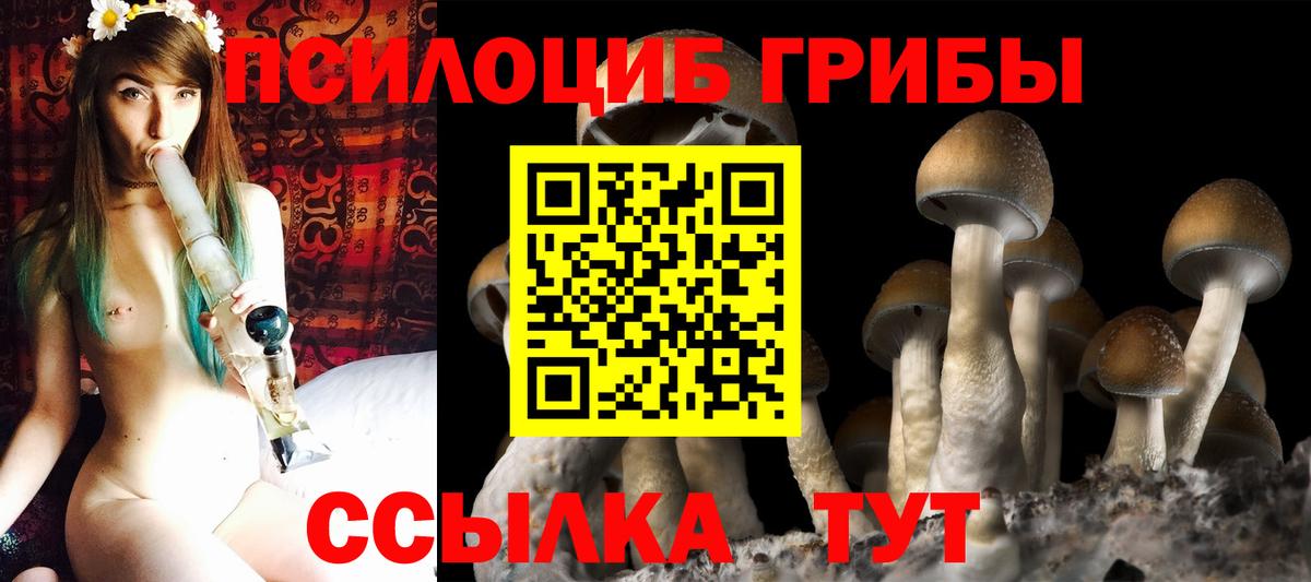 Галлюциногенные грибы GOLDEN TEACHER Новосибирск