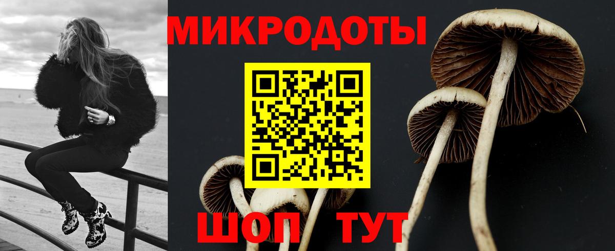 Псилоцибиновые грибы Psilocybine cubensis  Вход с VPN  Новосибирск  Галлюциногенные грибы Psilocybe 